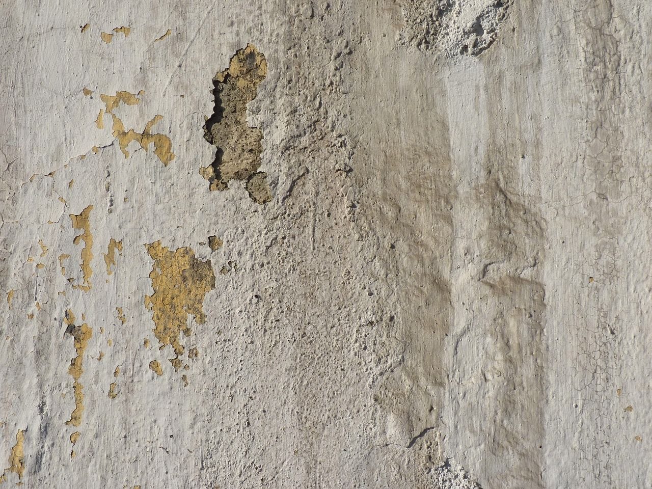 Damp Proofing