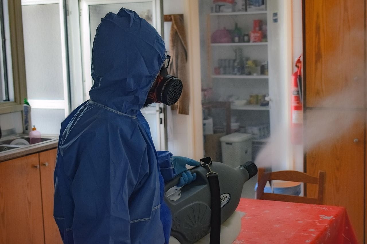 Bed Bug Extermination