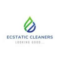 Ecstatic Cleaning