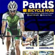 PandS Bicycle Hub