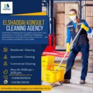 ELSHADDAI CLEANING SERVICE AGENCY