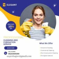 Elegant Cleaning and Fumigation Service