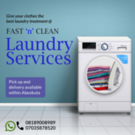 Fast 'n' Clean Laundry Service