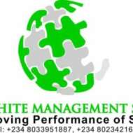 City White Management System Ltd