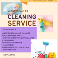 Mightyspakles cleaning services