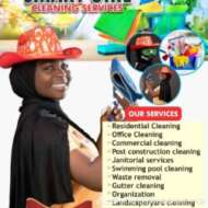 Smart Girl Cleaning Services