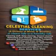Celestial Cleaning Services (Whisk
