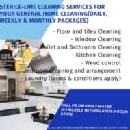 Sterile-line Cleaning Services