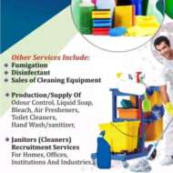 Jewel Spring Cleaning and fumigation services