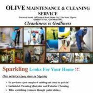 Olive Maintenance Cleaning Service