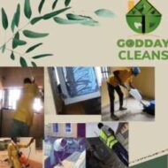 Godday cleaning and fumigation service