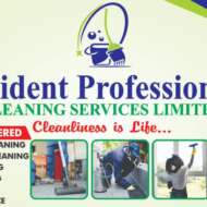 Evident Professional Cleaning Services Limited