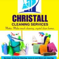 Christal Integrated Services Ventures