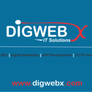 DigwebX IT Solutions