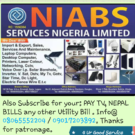 NIABS SERVICES NIGERIA LIMITED